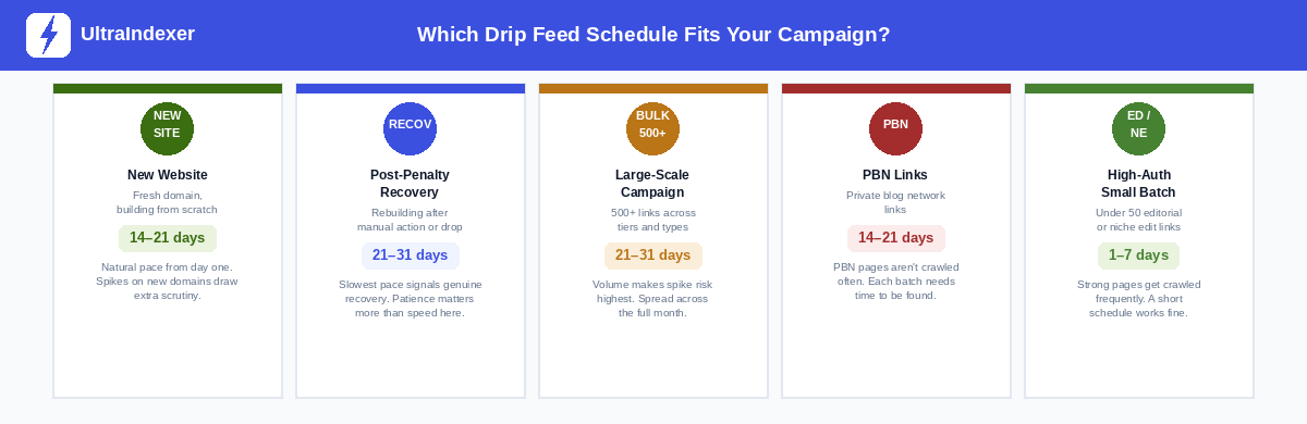 Five campaign type cards showing recommended drip feed schedules for new websites, post-penalty recovery, large-scale campaigns, PBN links, and high-authority small batches